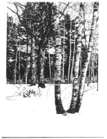 67521eda9546d3.11238175.pdf page 20