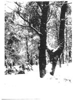 67521eda9546d3.11238175.pdf page 21