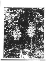 67521eda9546d3.11238175.pdf page 22