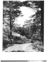 67521eda9546d3.11238175.pdf page 23