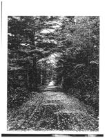 67521eda9546d3.11238175.pdf page 24
