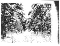 67521eda9546d3.11238175.pdf page 26