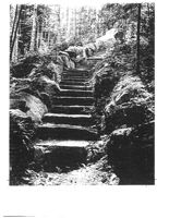 67521eda9546d3.11238175.pdf page 28
