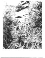 67521eda9546d3.11238175.pdf page 29