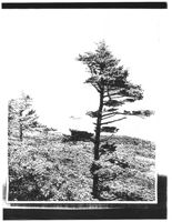 67521eda9546d3.11238175.pdf page 32