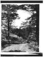 67521eda9546d3.11238175.pdf page 33