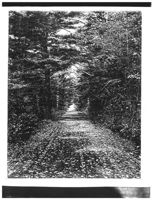 67521eda9546d3.11238175.pdf page 34