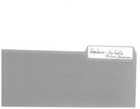 67521ef4661314.64840650.pdf page 1