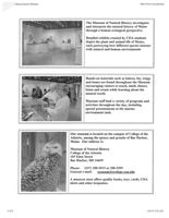 67521ef8266a99.59647166.pdf page 3