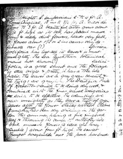 6752461eccc813.33790242.pdf page 13