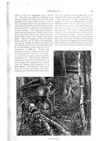 67524638cc1a87.92858642.pdf page 13