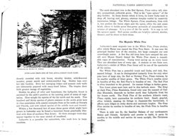 6752464ac7c2e9.91465256.pdf page 52