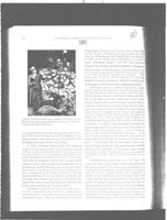 6752467ecc37e2.78014593.pdf page 2