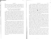 67524695c73264.68499489.pdf page 19
