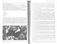 675246afc4f9a5.80500700.pdf page 14