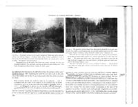 675246e9cabaf5.65975767.pdf page 7