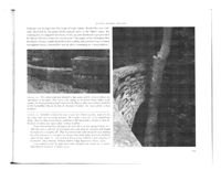 675246e9cabaf5.65975767.pdf page 16