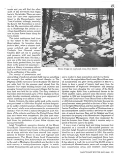 67524749c78d47.49663367.pdf page 99