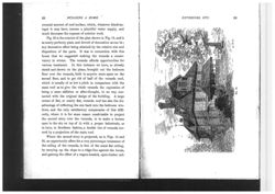 6752474ec61fa4.27166757.pdf page 10