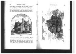 6752474ec61fa4.27166757.pdf page 12