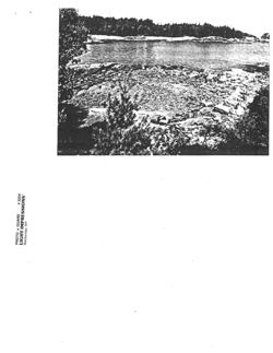 6752474ec61fa4.27166757.pdf page 61