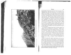 67524754cc8539.11837255.pdf page 6