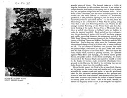 67524761cb08f3.16199848.pdf page 28