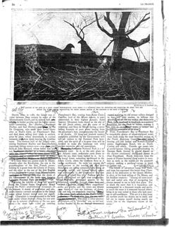 67524767c6a626.81255335.pdf page 7