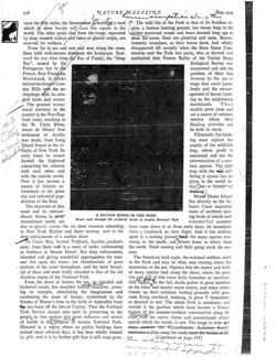 67524767c6a626.81255335.pdf page 11