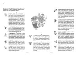 67524775c5a0b2.67843418.pdf page 4