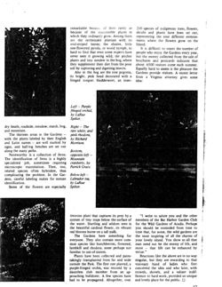 67524775c5a0b2.67843418.pdf page 25