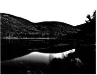 67530e39075471.05145411.pdf page 25