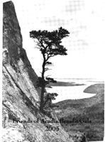 67530e46229612.75578324.pdf page 4