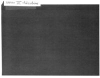 Series IX Publications.pdf