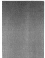 67530f7af15ae8.13398790.pdf page 2