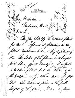 67530f7f655c70.98504397.pdf page 2