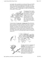 67530f7f655c70.98504397.pdf page 27