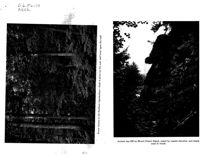 67530f8768b952.05232291.pdf page 8