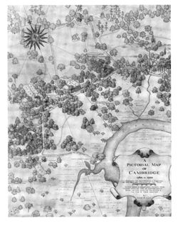 67530f98ccb401.06391308.pdf page 51