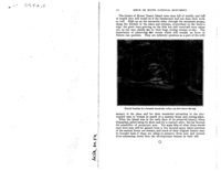 675313dc5067a0.31847880.pdf page 38