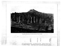 675313dc5067a0.31847880.pdf page 52