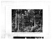 675313dc5067a0.31847880.pdf page 54
