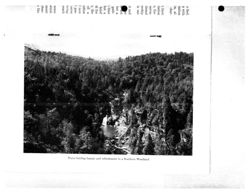 675313dc5067a0.31847880.pdf page 64