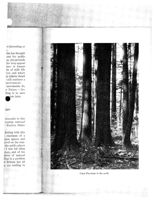 675313dc5067a0.31847880.pdf page 66