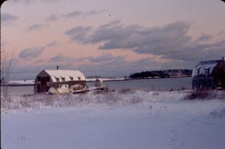 Heliker (Lew Stanley) wharf and boat sheds