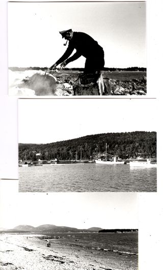 Photo of Richie Stanley and harbor views
