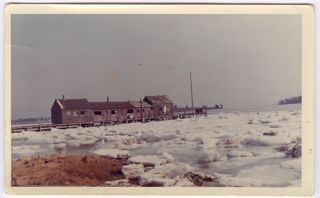 Photos of places , duck hunt, and whale on GCI