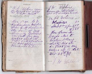 Journal 1878-1881 voyages of schooner Carrie M. Richardson