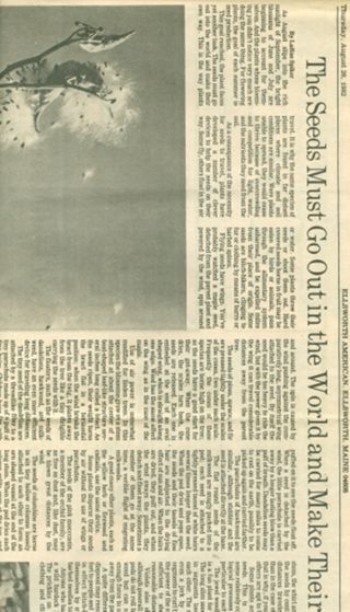 Polly Storey Collection - Newspaper Article