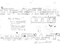 795_00000795e.jpg